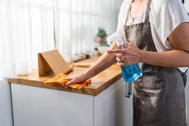 domestic assistance ndis